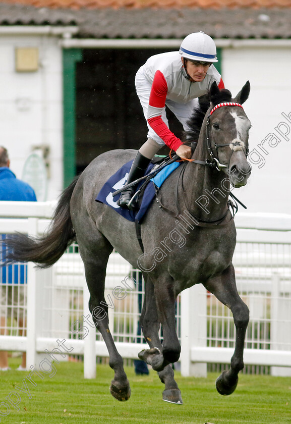 Fine-Interview-0001 
 FINE INTERVIEW (Kieran O'Neill)
Yarmouth 19 Sep 2023 - Pic Steven Cargill / Racingfotos.com