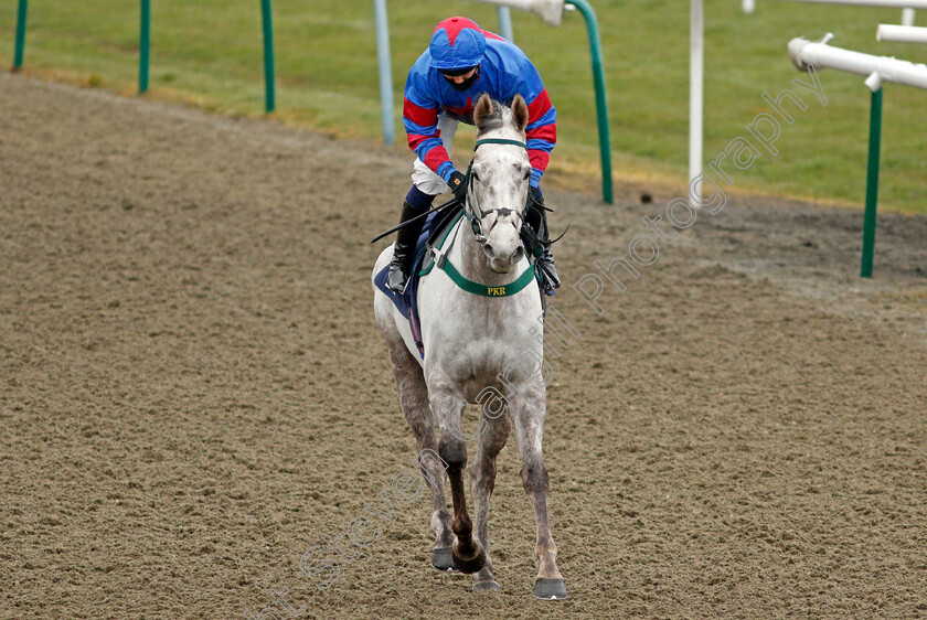 Red-Force-One-0001 
 RED FORCE ONE (Kevin Stott)
Lingfield 10 Mar 2021 - Pic Steven Cargill / Racingfotos.com