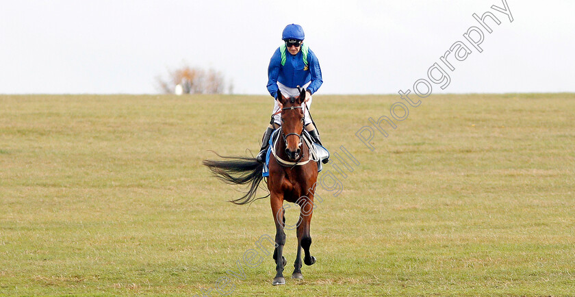 Rose-Of-Kildare-0007 
 ROSE OF KILDARE (Joe Fanning) after The Godolphin Lifetime Care Oh So Sharp Stakes
Newmarket 11 Oct 2019 - Pic Steven Cargill / Racingfotos.com