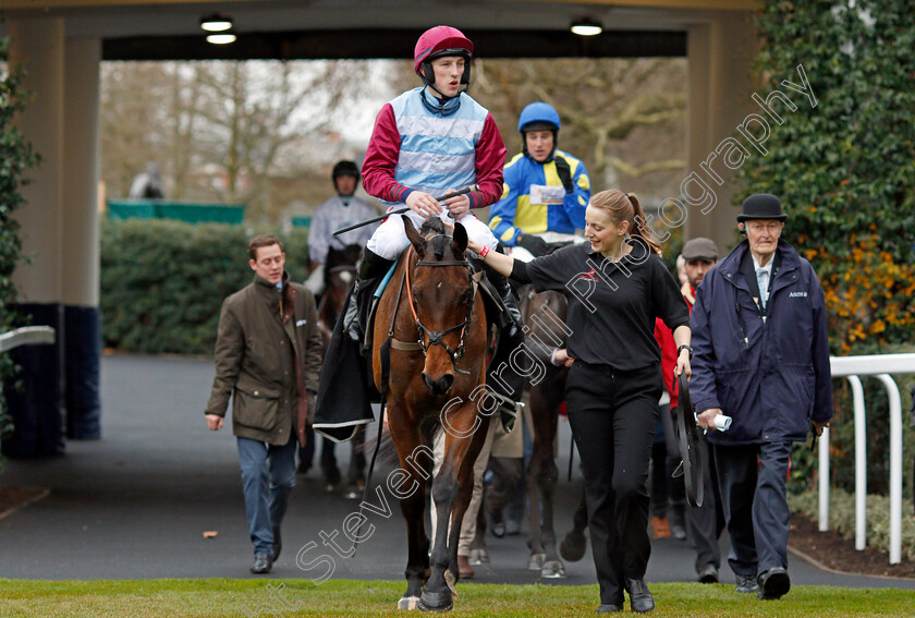 Clondaw-Native-0010 
 CLONDAW NATIVE (Ciaran Gethings) after The Eventmasters.co.uk Maiden Hurdle Ascot 22 Dec 2017 - Pic Steven Cargill / Racingfotos.com