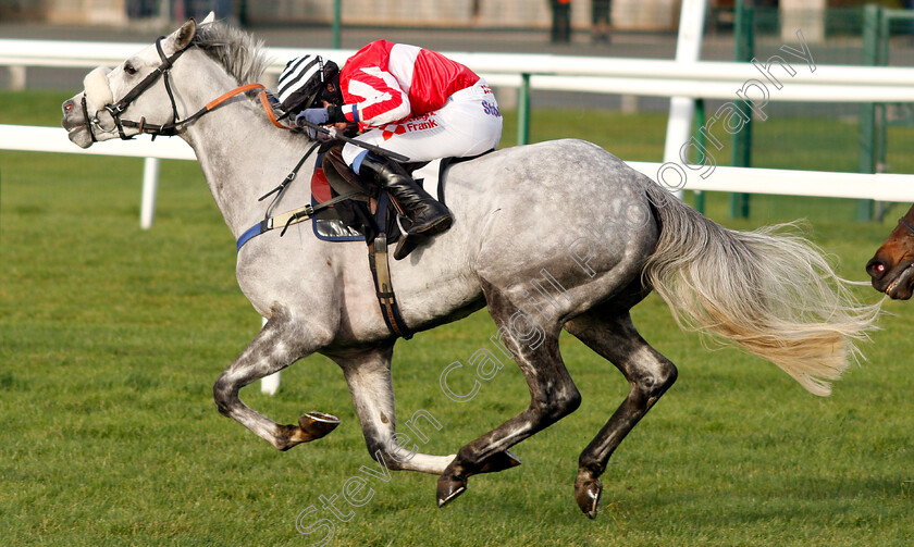 Kateson-0006 
 KATESON (Tom Scudamore) wins The Ladbrokes Novices Hurdle
Newbury 30 Nov 2018 - Pic Steven Cargill / Racingfotos.com