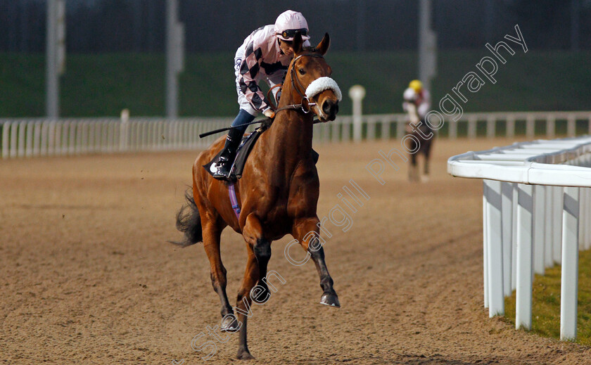 Rodin-0001 
 RODIN (David Probert)
Chelmsford 11 Jan 2020 - Pic Steven Cargill / Racingfotos.com