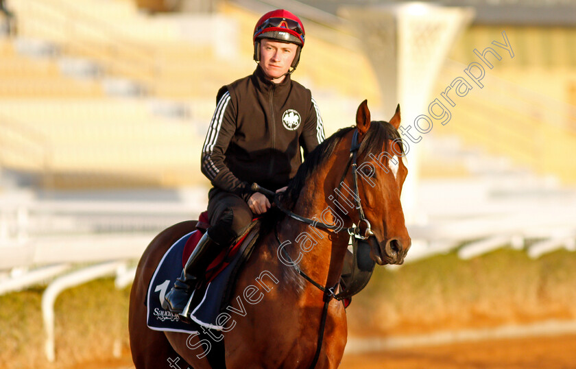 Thunder-Moon-0001 
 THUNDER MOON training for The Turf Sprint
King Abdulaziz Racetrack, Riyadh, Saudi Arabia 23 Feb 2022 - Pic Steven Cargill / Racingfotos.com