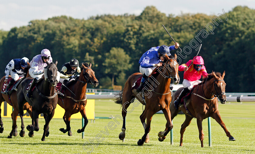 Lady-Scatterley-0002 
 LADY SCATTERLEY (right, William Easterby) beats DAS KAPITAL (centre, Ross Birkett) in The Best Odds On The Betfair Exchange Handicap
Haydock 3 Sep 2020 - Pic Steven Cargill / Racingfotos.com