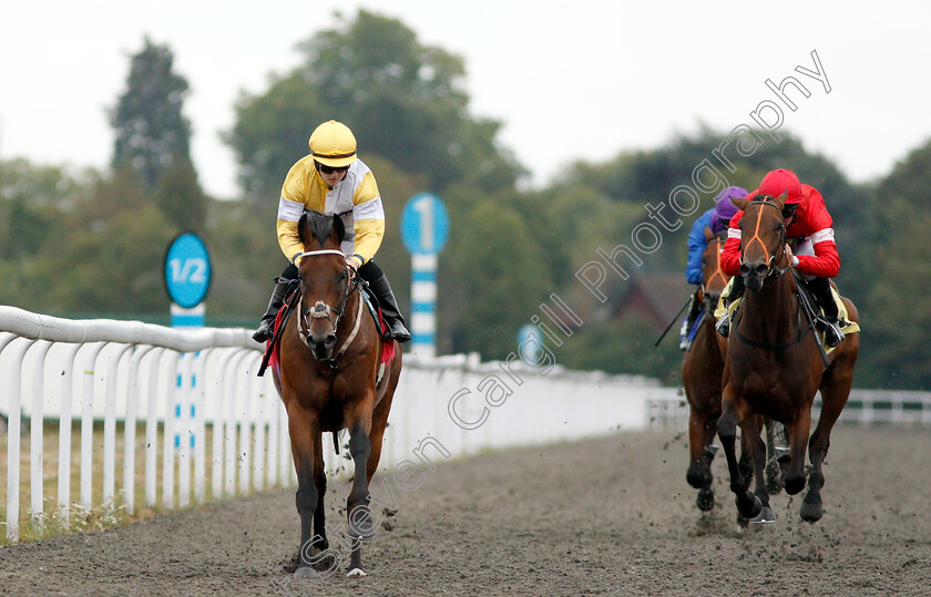 Quiet-Endeavour-0005 
 QUIET ENDEAVOUR (Hollie Doyle) wins The Call Star Sports On 08000 521 321 Nursery
Kempton 15 Aug 2018 - Pic Steven Cargill / Racingfotos.com