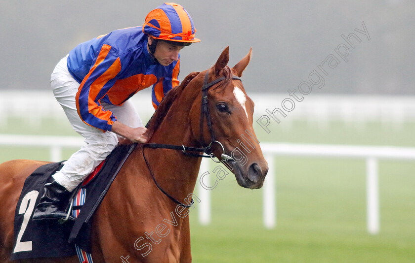 Ballet-Slippers-0004 
 BALLET SLIPPERS (Ryan Moore) winner of The Wesco Anixter EBF Fillies Novice Stakes
Ascot 6 Sep 2024 - Pic Steven Cargill / Racingfotos.com