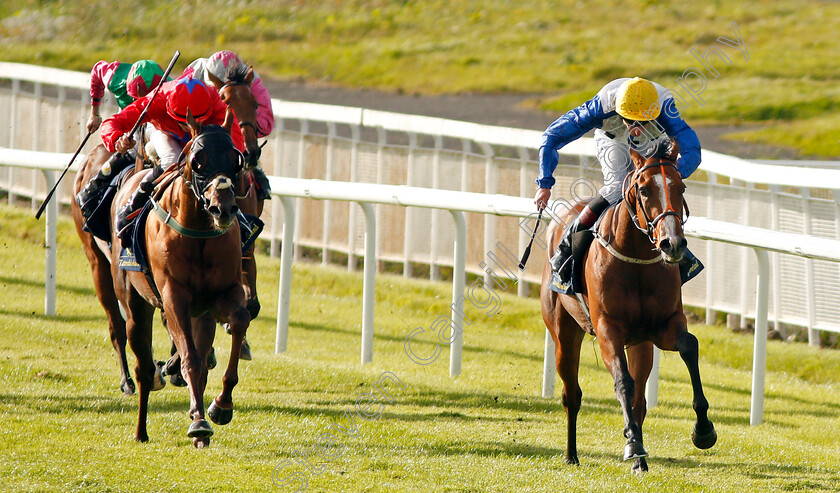 Snazzy-Jazzy-0002 
 SNAZZY JAZZY (Adam Kirby) beats PRETTY BOY (left) in The Tattersalls Ireland Super Auction Sale Stakes Curragh 10 Sep 2017 - Pic Steven Cargill / Racingfotos.com