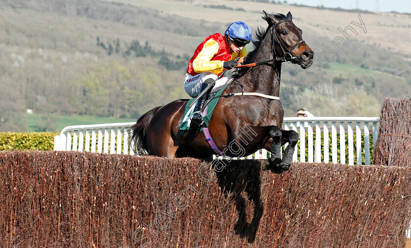 Sister-Sibyl-0001 
 SISTER SIBYL (Tom O'Brien) wins The TBA Mares Handicap Chase Cheltenham 19 Apr 2018 - Pic Steven Cargill / Racingfotos.com