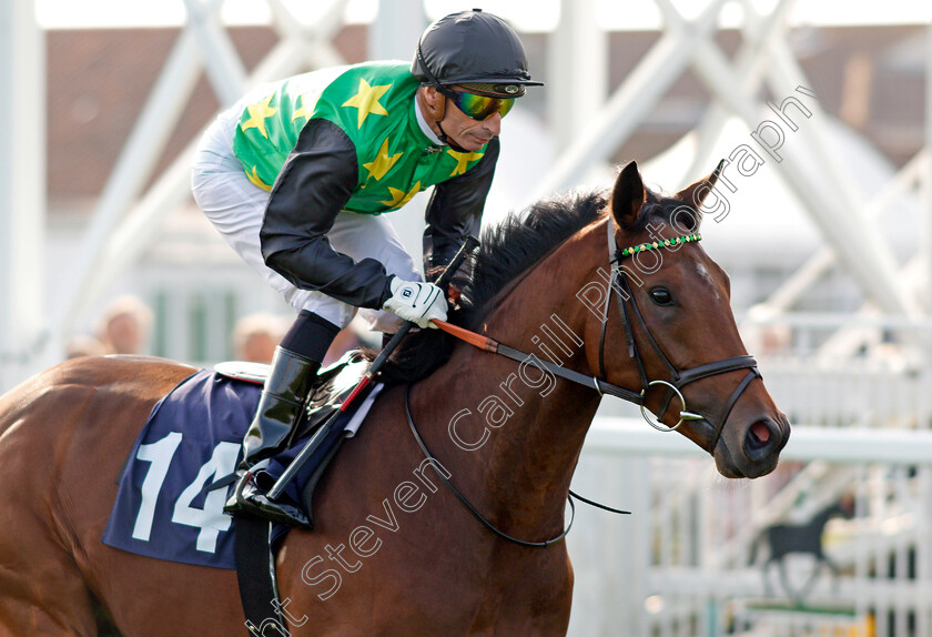 Willie-John-0001 
 WILLIE JOHN (Gerald Mosse) winner of The British Stallion Studs EBF Novice Stakes Yarmouth 16 Oct 2017 - Pic Steven Cargill / Racingfotos.com