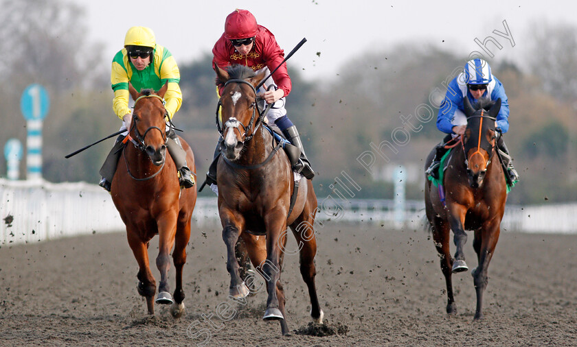 Kings-Shield-0007 
 KINGS SHIELD (Oisin Murphy) beats ONE COOL DADDY (left) and RAJAAM (right) in The Betfred Like Us On Facebook Stakes Kempton 7 Apr 2018 - Pic Steven Cargill / Racingfotos.com