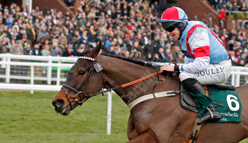 Simply-The-Betts-0006 
 SIMPLY THE BETTS (Gavin Sheehan) wins The Brown Advisory & Merriebelle Stable Plate
Cheltenham 12 Mar 2020 - Pic Steven Cargill / Racingfotos.com