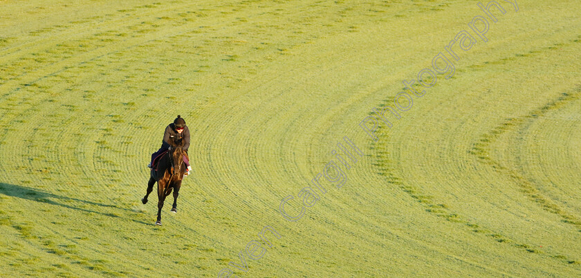 Big-Mojo-0005 
 BiG MOJO (Tom Marquand) training for the Breeders' Cup Juvenile Turf Sprint
Del Mar USA 30 Oct 2024 - Pic Steven Cargill / Racingfotos.com