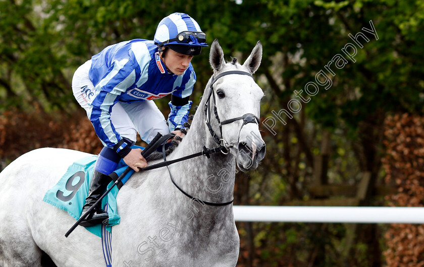 Spanish-Vega-0002 
 SPANISH VEGA (Benoit de la Sayette)
Kempton 3 Apr 2024 - Pic Steven Cargill / Racingfotos.com