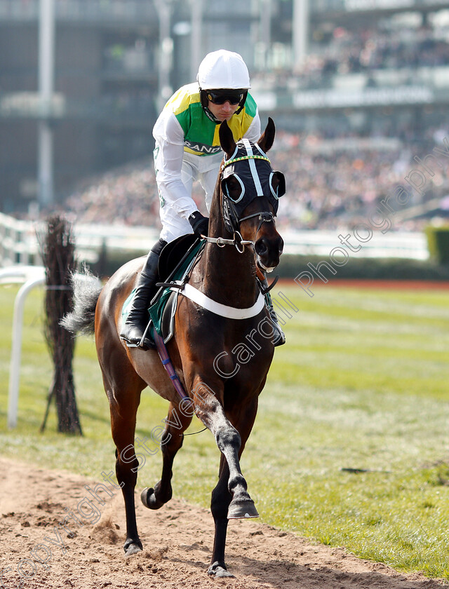 Burbank-0001 
 BURBANK (Jeremiah McGrath)
Aintree 6 Apr 2019 - Pic Steven Cargill / Racingfotos.com