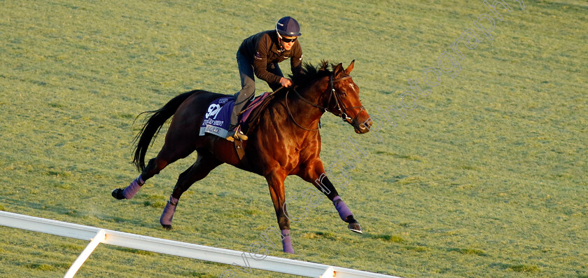 Arizona-Blaze-0002 
 ARIZONA BLAZE training for the Breeders' Cup Juvenile Turf Sprint
Del Mar USA 30 Oct 2024 - Pic Steven Cargill / Racingfotos.com