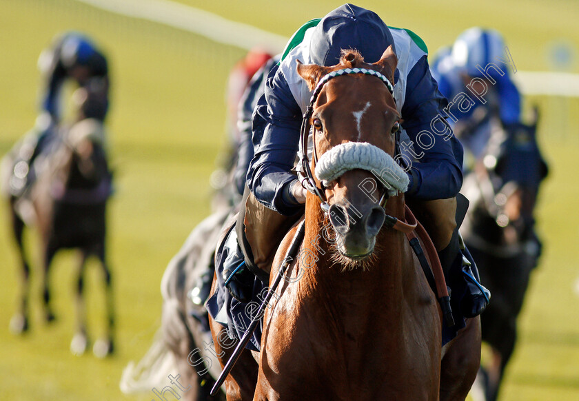 Torcello-0005 
 TORCELLO (Oisin Murphy) wins The Weatherbys General Stud Book Online Handicap Newmarket 28 Sep 2017 - Pic Steven Cargill / Racingfotos.com