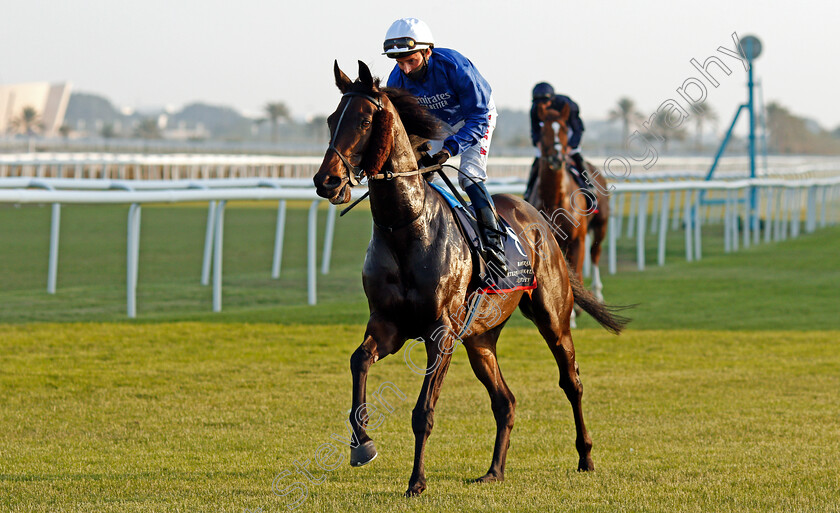 Loxley-0001 
 LOXLEY (William Buick)
Bahrain 20 Nov 2020 - Pic Steven Cargill / Racingfotos.com