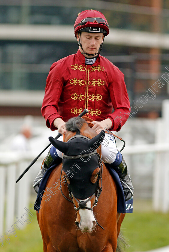 Raid-0001 
 RAID (Oisin Murphy) Newbury 21 Apr 2018 - Pic Steven Cargill / Racingfotos.com