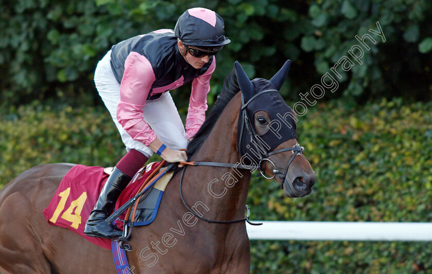 Tamra s-Rock-0001 
 TAMRA'S ROCK (Rob Hornby)
Kempton 4 Aug 2021 - Pic Steven Cargill / Racingfotos.com