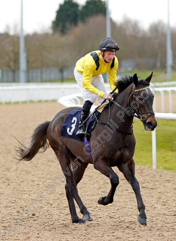 Aryaah-0002 
 ARYAAH (Aled Beech)
Wolverhampton 12 Mar 2022 - Pic Steven Cargill / Racingfotos.com