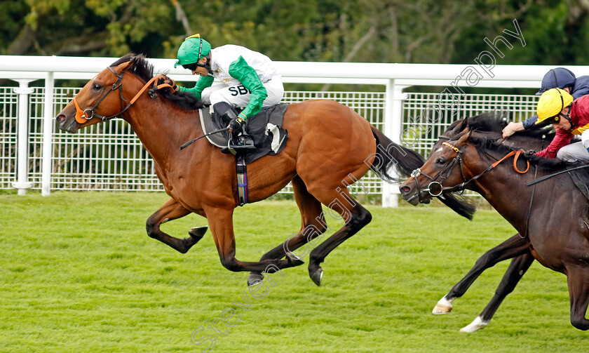 Haatem-0002 
 HAATEM (Sean Levey) wins The Nicholson Gin Vintage Stakes
Goodwood 1 Aug 2023 - Pic Steven Cargill / Racingfotos.com