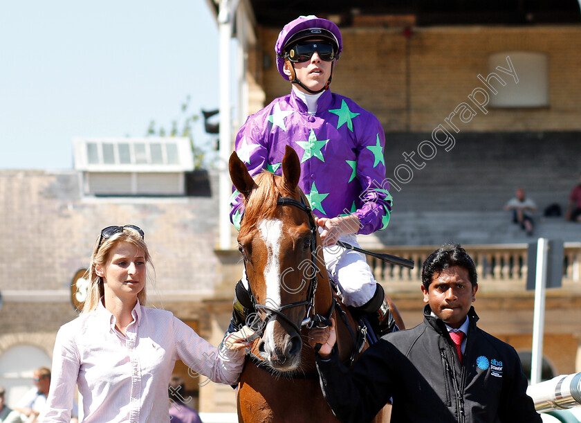 Blonde-Warrior-0001 
 BLONDE WARRIOR (James Doyle) before winning The Edmond Shipway Novice Stakes
Doncaster 29 Jun 2018 - Pic Steven Cargill / Racingfotos.com