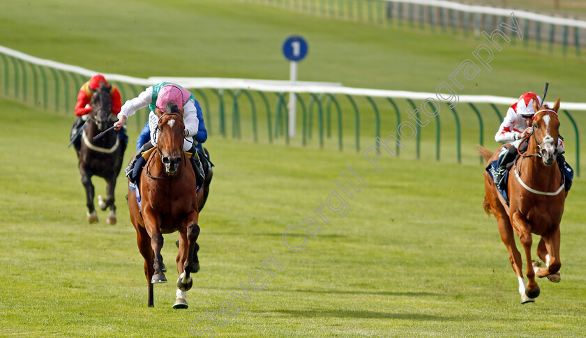 Nostrum-0006 
 NOSTRUM (left, Ryan Moore) beats HOLLOWAY BOY (right) in The Tattersalls Stakes
Newmarket 22 Sep 2022 - Pic Steven Cargill / Racingfotos.com