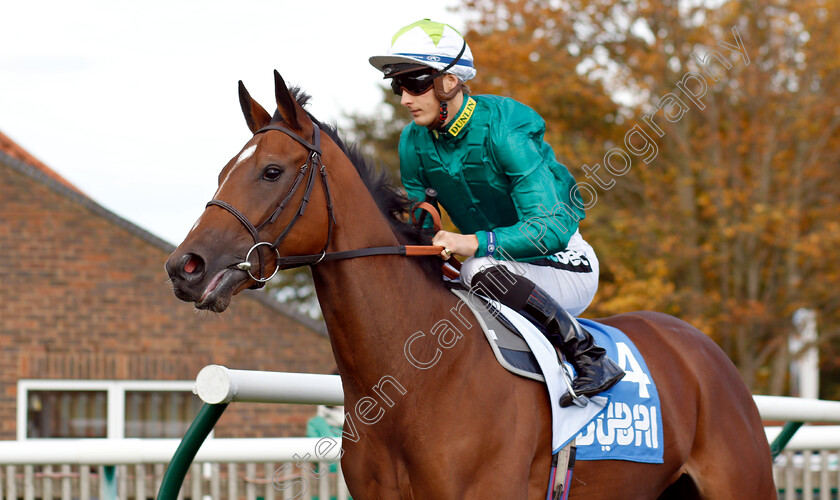 Glance-0001 
 GLANCE (Harry Bentley)
Newmarket 12 Oct 2018 - Pic Steven Cargill / Racingfotos.com