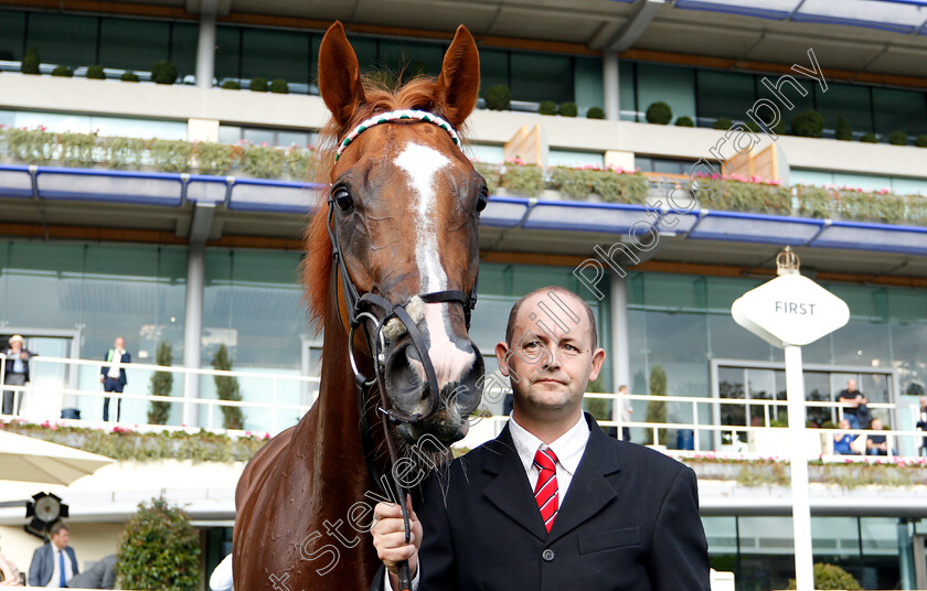 Blue-Mist-0008 
 BLUE MIST after The Mar-Key Group Classified Stakes
Ascot 5 Oct 2018 - Pic Steven Cargill / Racingfotos.com