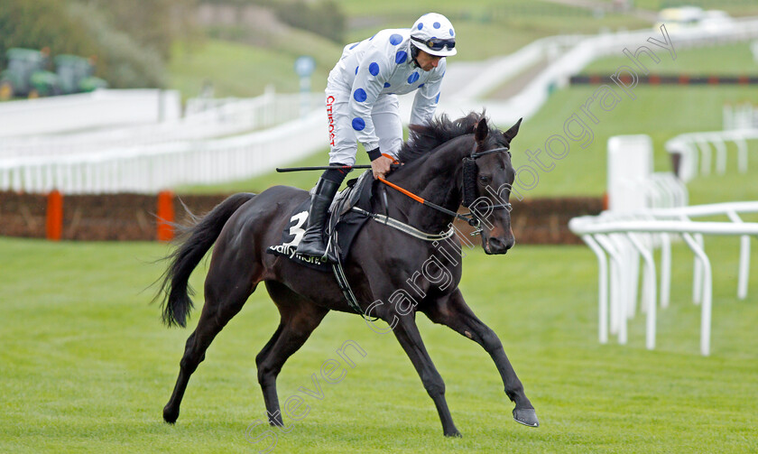 Doctor-Duffy-0001 
 DOCTOR DUFFY (Davy Russell)
Cheltenham 25 Oct 2019 - Pic Steven Cargill / Racingfotos.com