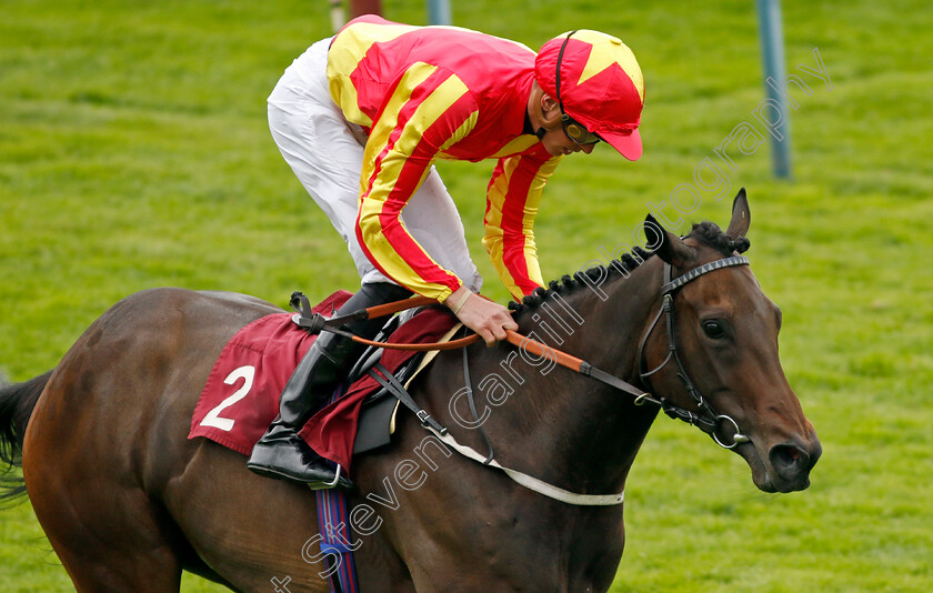 Lil-Guff-0006 
 LIL GUFF (James Doyle) wins The Cazoo Edge Green Handicap
Haydock 21 May 2022 - Pic Steven Cargill / Racingfotos.com