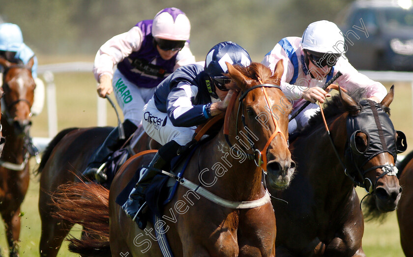 Golden-Guest-0005 
 GOLDEN GUEST (left, Daniel Tudhope) beats GLORIOUS PLAYER (right) in The Pepsi Max Handicap
Doncaster 29 Jun 2018 - Pic Steven Cargill / Racingfotos.com