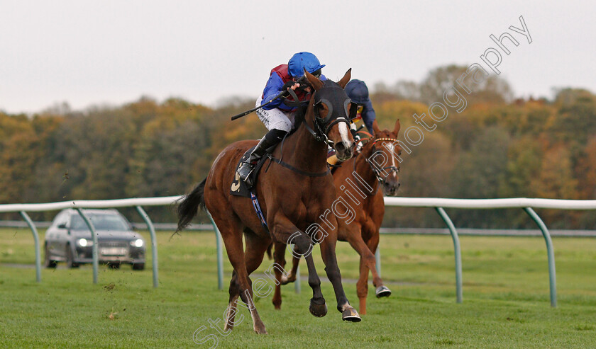 Tao-Te-Ching-0002 
 TAO TE CHING (Robert Havlin) wins The Mansionbet Best Odds Guaranteed Novice Stakes
Nottingham 28 Oct 2020 - Pic Steven Cargill / Racingfotos.com