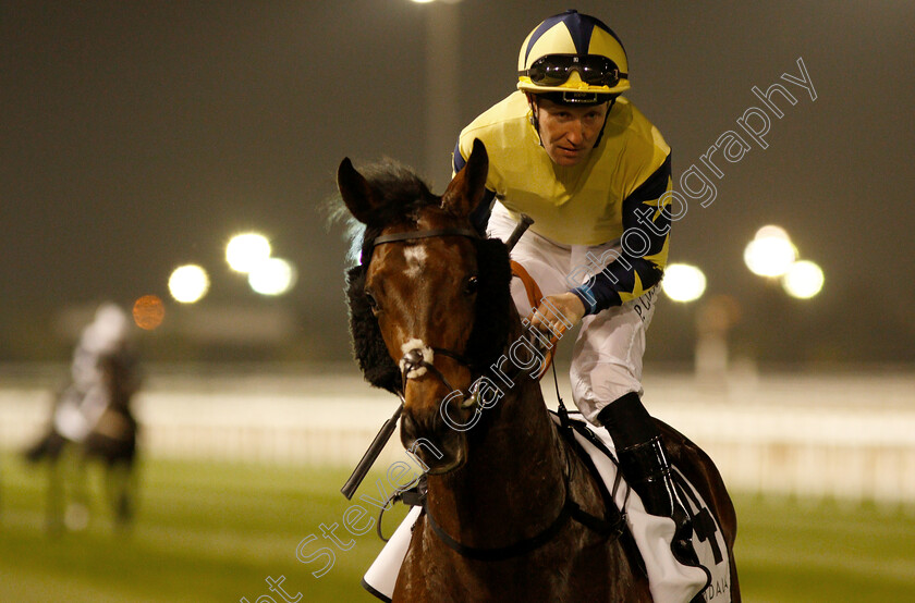 Sporting-Chance-0001 
 SPORTING CHANCE (Pat Cosgrave)
Meydan 10 Jan 2019 - Pic Steven Cargill / Racingfotos.com