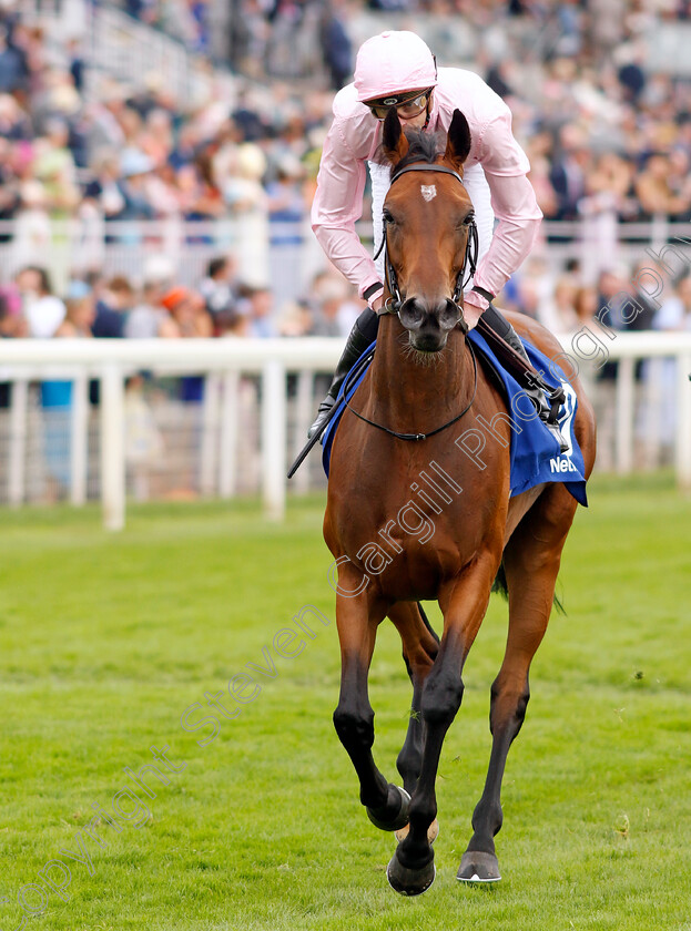 Warm-Heart-0014 
 WARM HEART (James Doyle) winner of The Pertemps Network Yorkshire Oaks
York 24 Aug 2023 - Pic Steven Cargill / Racingfotos.com