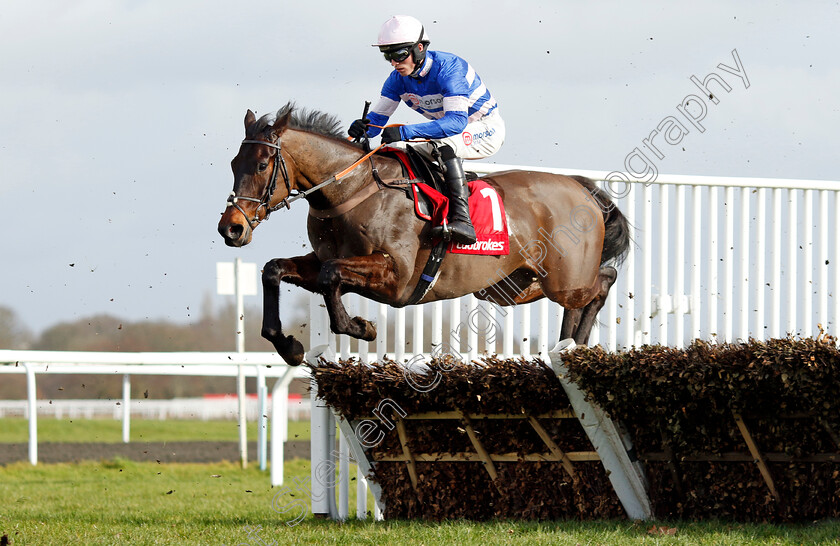 Sauvignon-0003 
 SAUVIGNON (Harry Cobden)
Kempton 22 Feb 2025 - Pic Steven Cargill / Racingfotos.com