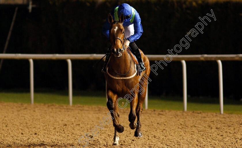 Antonine-Road-0001 
 ANTONINE ROAD (Callum Shepherd)
Wolverhampton 21 Feb 2020 - Pic Steven Cargill / Racingfotos.com