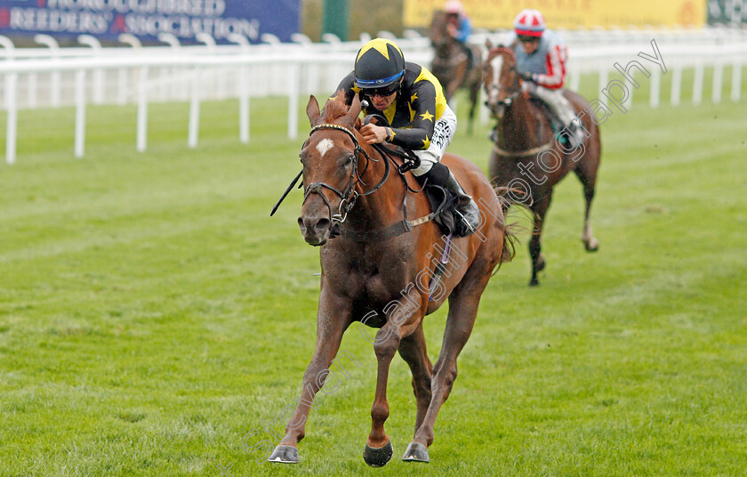 Alemaratalyoum-0003 
 ALEMARATALYOUM (Sean Levey) wins The Old Mout Optional Claiming Handicap
Goodwood 25 Sep 2019 - Pic Steven Cargill / Racingfotos.com