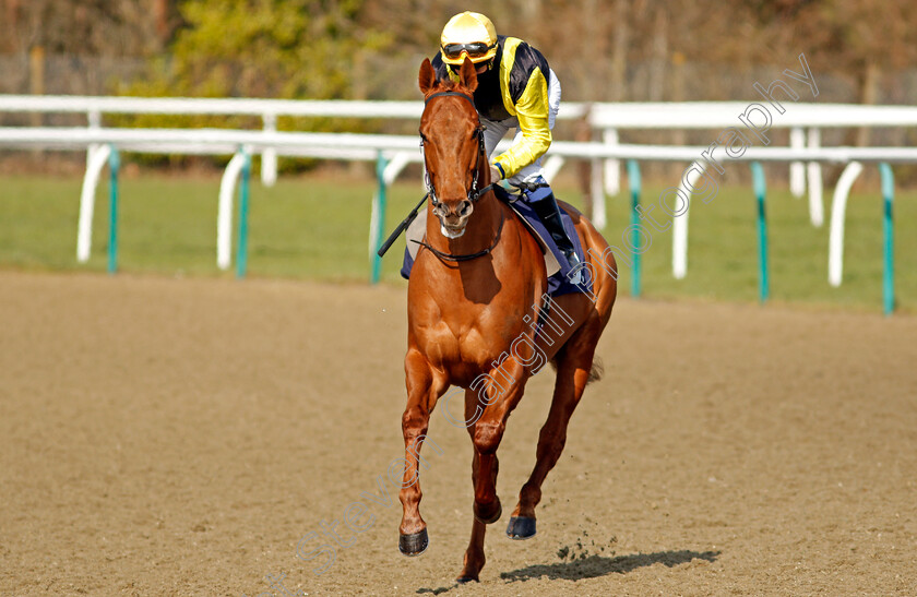 Kendergarten-Kop-0001 
 KENDERGARTEN KOP (Martin Dwyer)
Lingfield 27 Feb 2021 - Pic Steven Cargill / Racingfotos.com