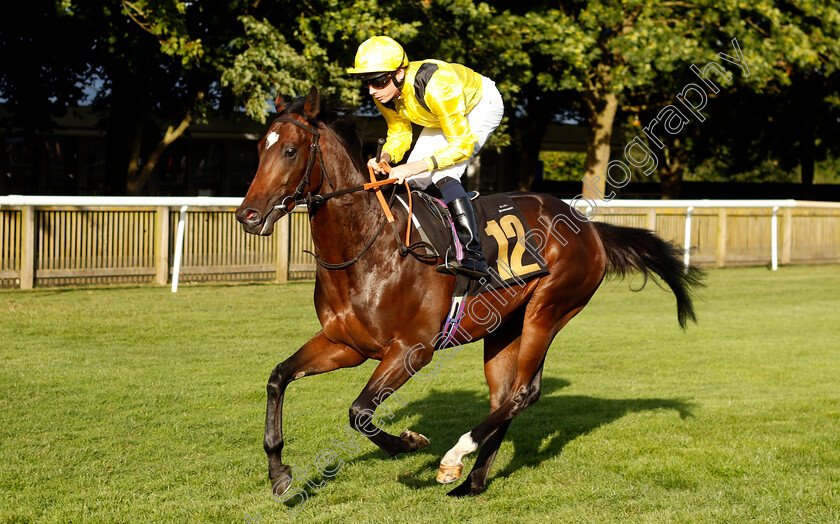 Reddeef-0001 
 REDDEEF (Callum Shepherd)
Newmarket 9 Aug 2024 - Pic Steven Cargill / Racingfotos.com