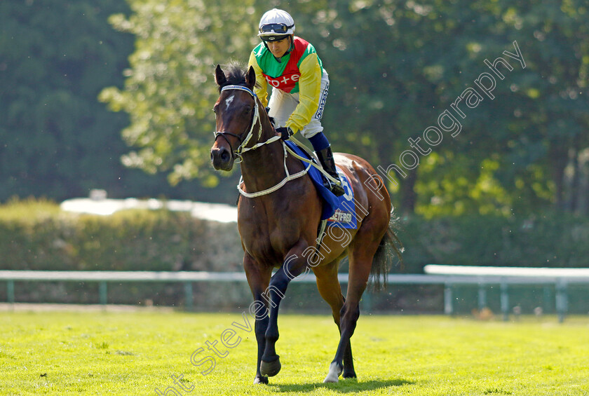 Mill-Stream-0002 
 MILL STREAM (Marco Ghiani)
Haydock 27 May 2023 - Pic Steven Cargill / Racingfotos.com