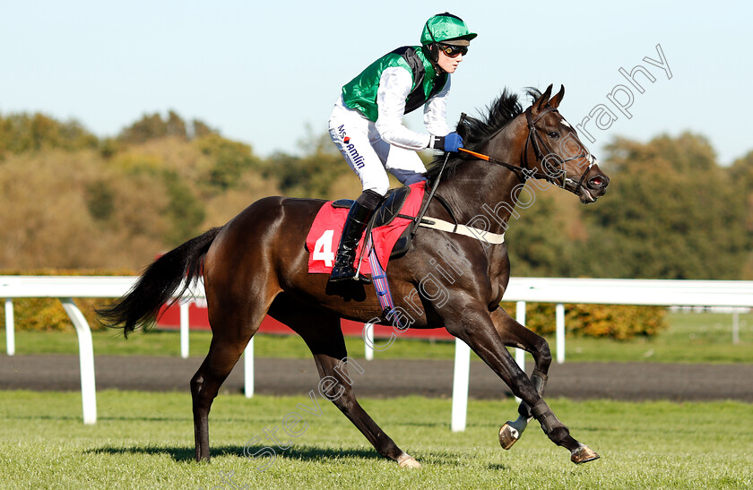 Vlannon-0001 
 VLANNON (Joshua Moore)
Kempton 21 Oct 2018 - Pic Steven Cargill / Racingfotos.com