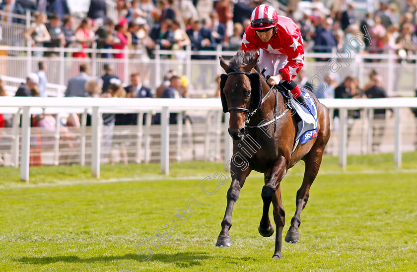 GoIng-Remote-0001 
 GOING REMOTE (Colin Keane)
York 24 Aug 2024 - Pic Steven Cargill / Racingfotos.com