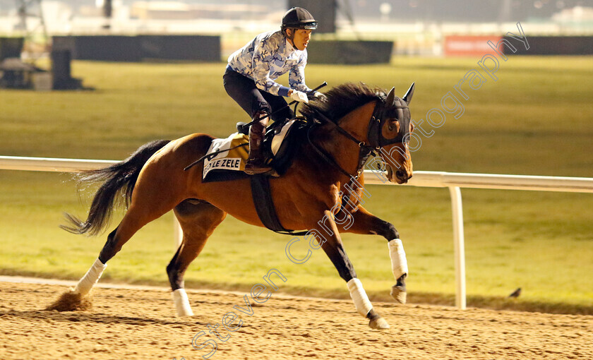 Red-Le-Zele-0001 
 RED LE ZELE training for the Golden Shaheen
Meydan, Dubai, 21 Mar 2023 - Pic Steven Cargill / Racingfotos.com