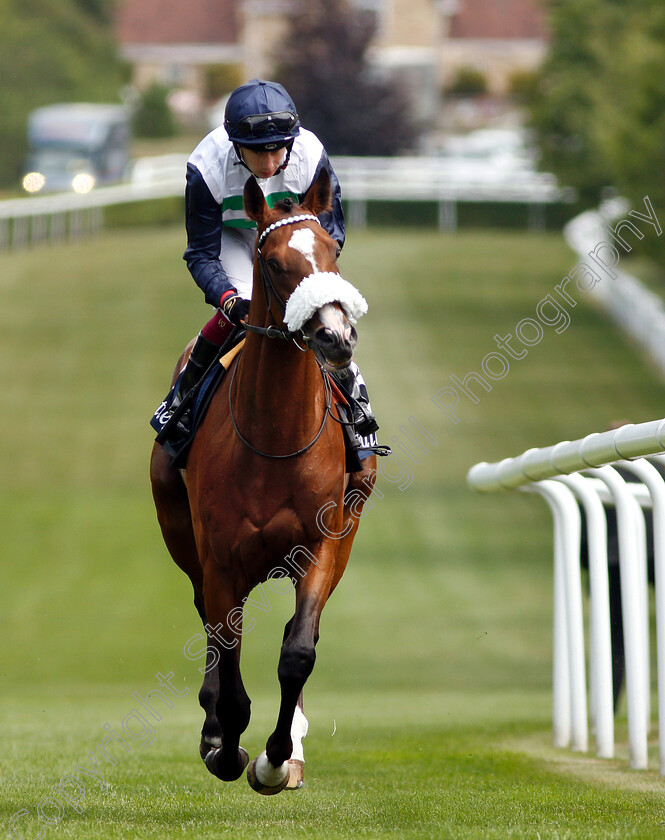 Dashing-Willoughby-0001 
 DASHING WILLOUGHBY (Oisin Murphy)
Newmarket 11 Jul 2019 - Pic Steven Cargill / Racingfotos.com