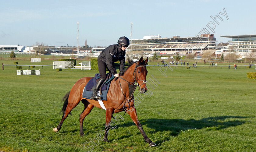 Telmesomethinggirl-0001 
 TELMESOMETHINGGIRL exercising on the eve of the Cheltenham Festival
Cheltenham 14 Mar 2022 - Pic Steven Cargill / Racingfotos.com