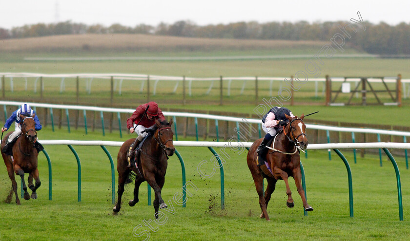 Freyja-0002 
 FREYJA (Silvestre De Sousa) beats SUN BEAR (centre) in The Best Odds Guaranteed At Mansionbet Fillies Handicap
Newmarket 21 Oct 2020 - Pic Steven Cargill / Racingfotos.com