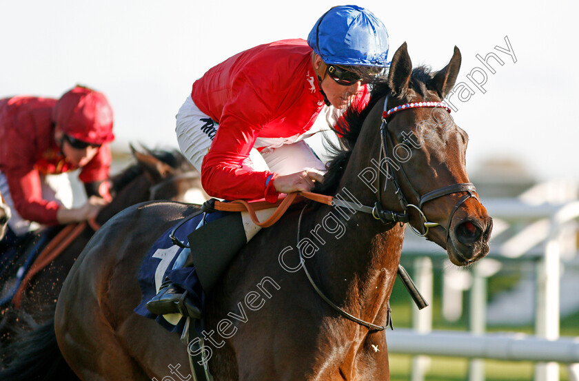 Tallow-0004 
 TALLOW (Jim Crowley) wins The Betfred Mobile Cock O'The North EBF Maiden Stakes Div2 Doncaster 11 Nov 2017 - Pic Steven Cargill / Racingfotos.com