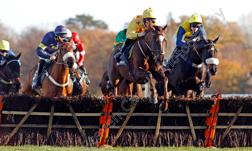 Count-Meribel-0002 
 COUNT MERIBEL (Mark Grant) wins The Mitie Events & Leisure Novices Hurdle Ascot 25 Nov 2017 - Pic Steven Cargill / Racingfotos.com