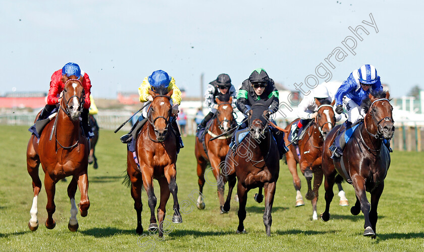 Maqtal-0006 
 MAQTAL (right, Jim Crowley) beats ZAFEER (2nd left) and KINSMAN (left) in The British Stallion Studs EBF Maiden Stakes
Yarmouth 18 Sep 2019 - Pic Steven Cargill / Racingfotos.com